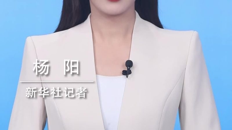 连锁门店数字化转型的关键要素对比解析